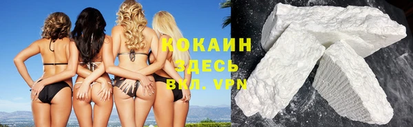 гидропоника Гусиноозёрск