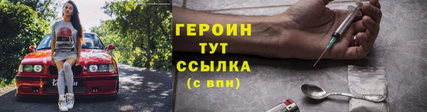 твердый Гусев