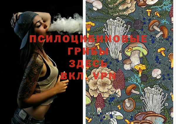 МДМА Новодвинск