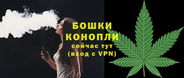твердый Гусев