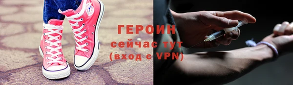 твердый Гусев