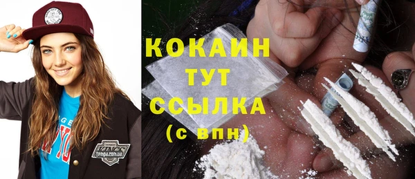 гидропоника Гусиноозёрск