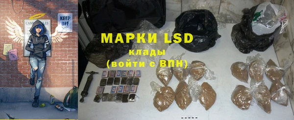 гидропоника Гусиноозёрск