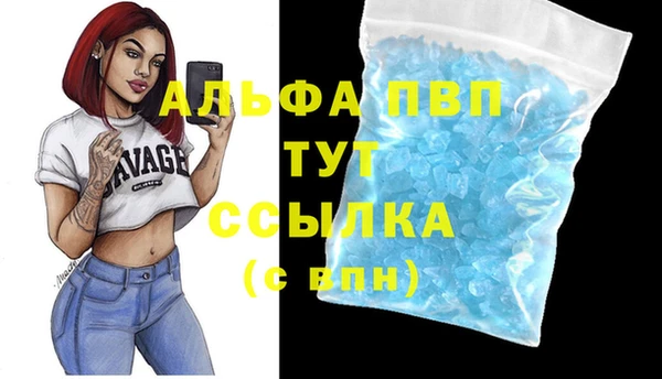 ALPHA PVP Новозыбков