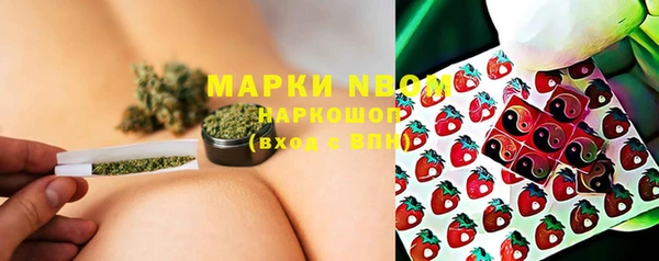ALPHA PVP Новозыбков