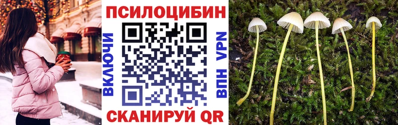 Галлюциногенные грибы мицелий Озёрск